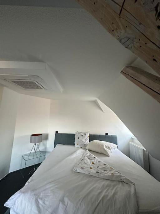 Panorama Penthouse In Wunderschoener Villa Kassel Exteriér fotografie