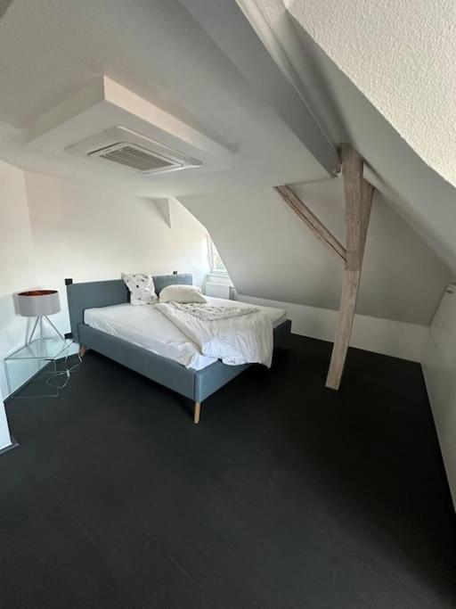 Panorama Penthouse In Wunderschoener Villa Kassel Exteriér fotografie